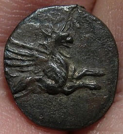 Copy of griffin b.jpg
