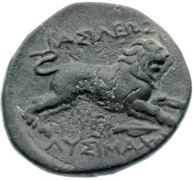 Copy of lysimachosx b.jpg