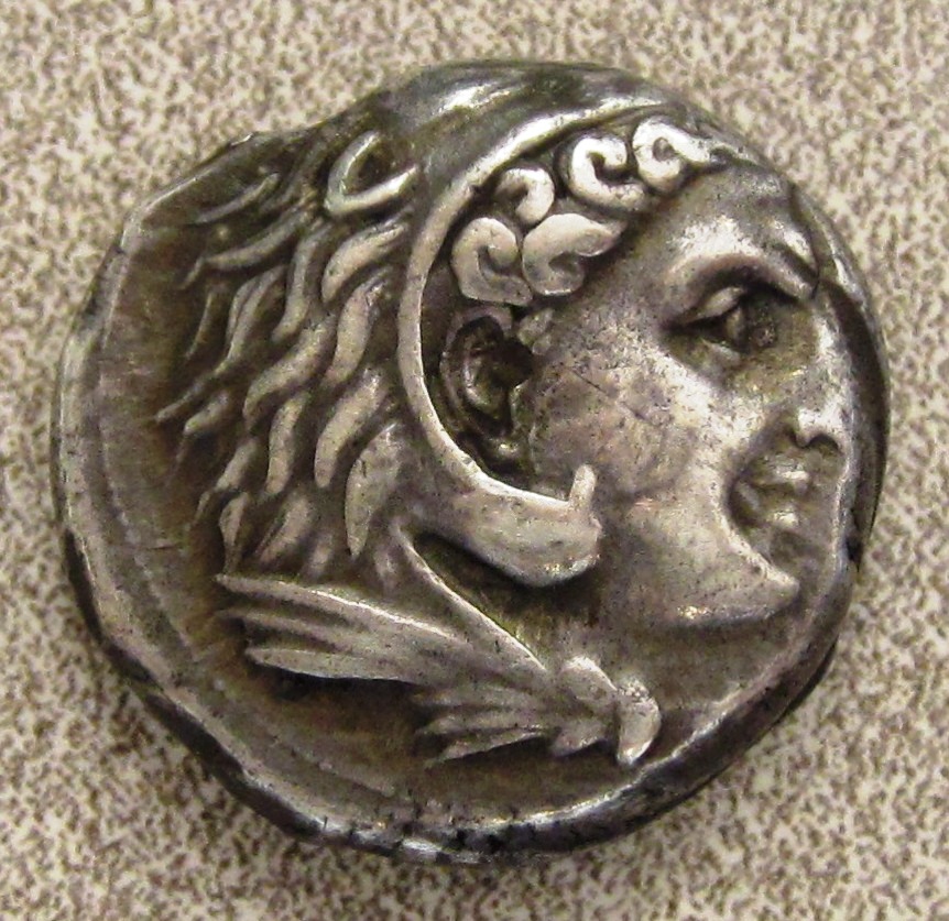 Copy of Punic Horse and Palm Obv.jpg