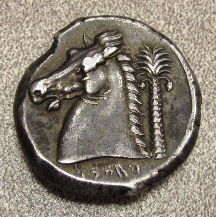 Copy of Punic Horse and Palm Rev.jpg