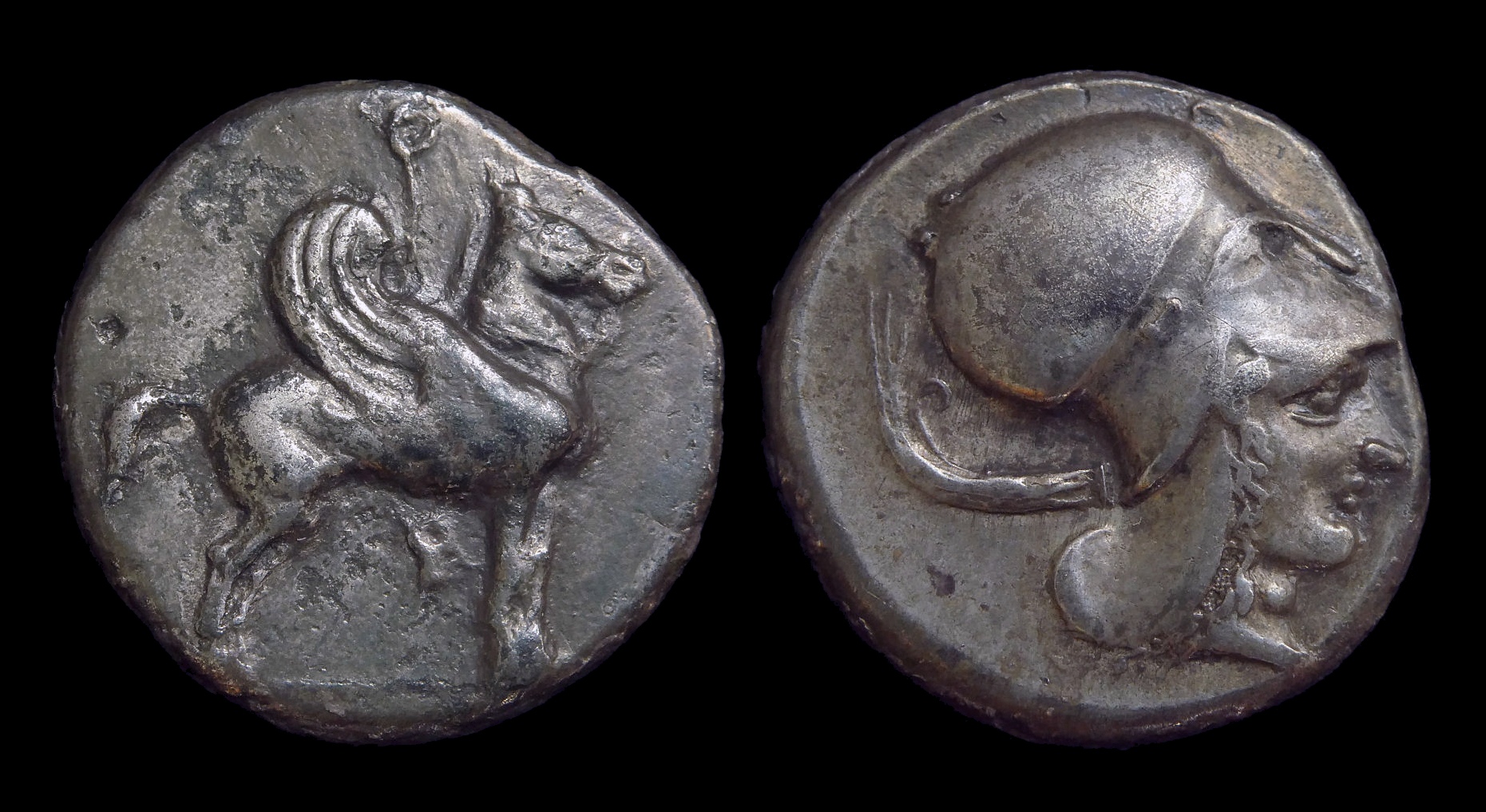 Corinth - Stater Tethered Pegasos 3639b.JPG