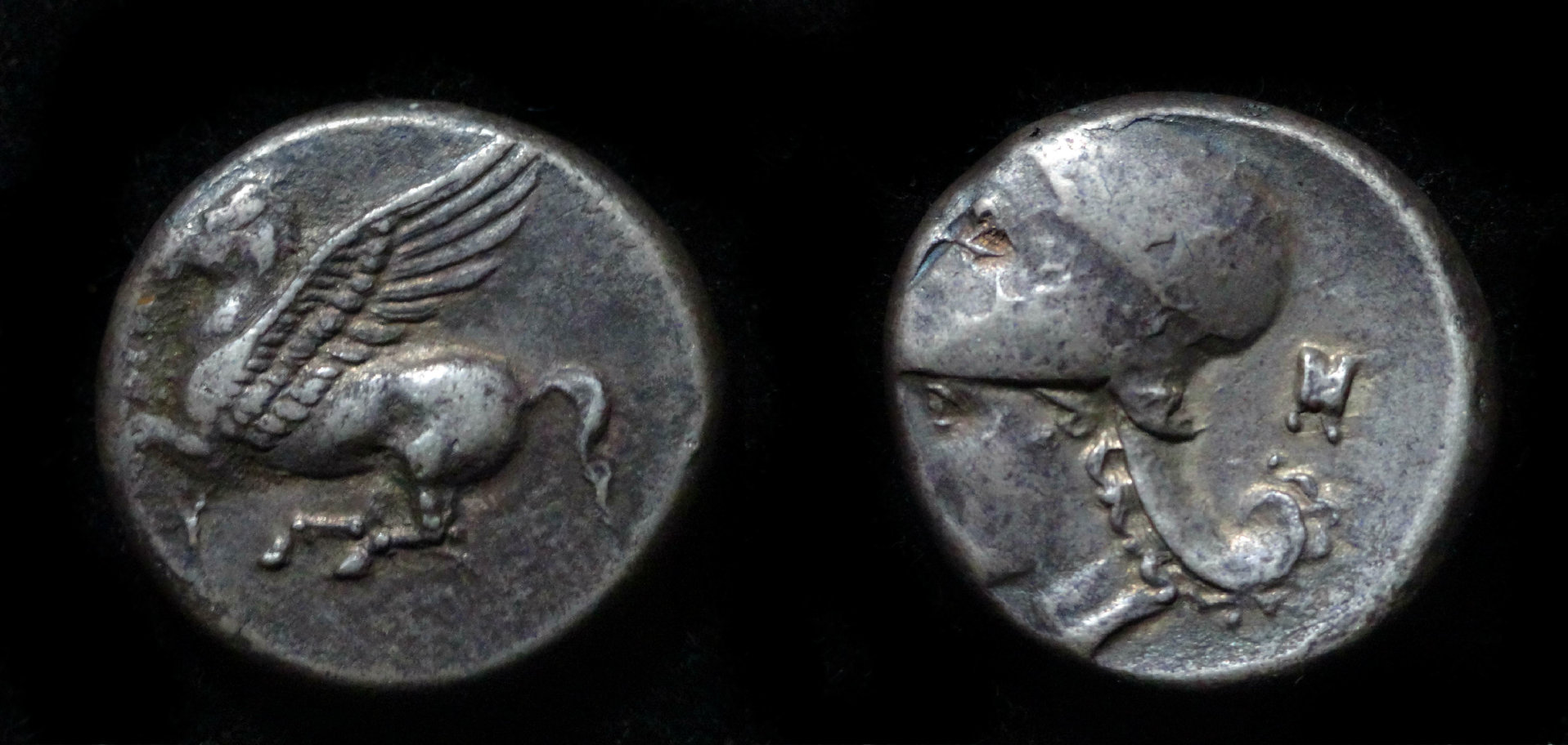 CorinthColt.jpg