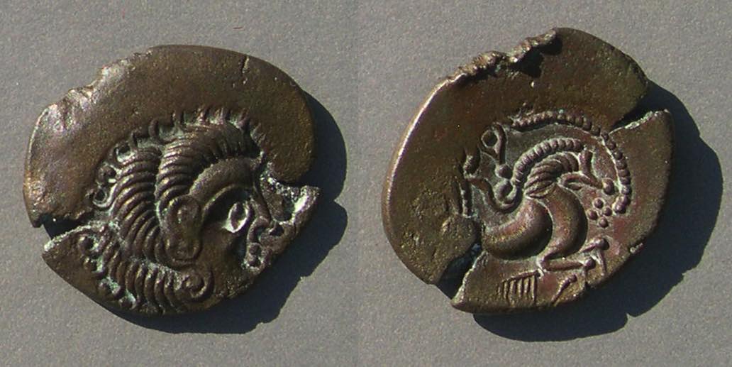 Coriosolatae7402.jpg