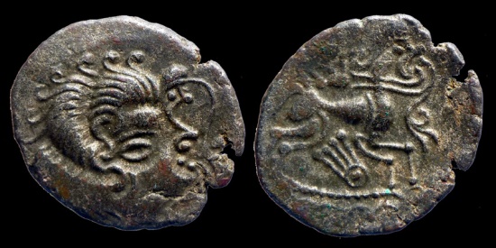 Coriosoltie example.jpg