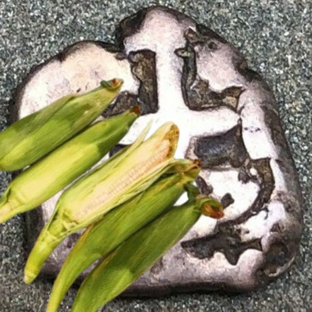 corn.jpg
