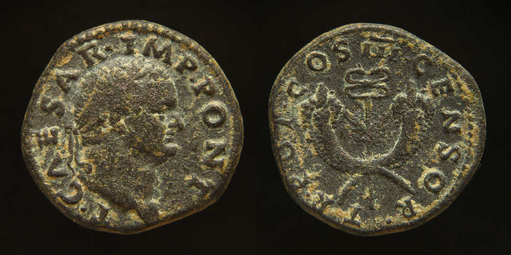 Cornucopiae  Titus Syria.JPG