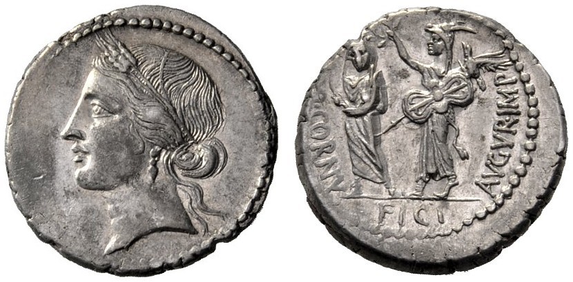 Cornuficia.3.Cr509.5.jpg