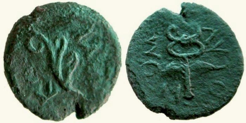 corycus.jpg