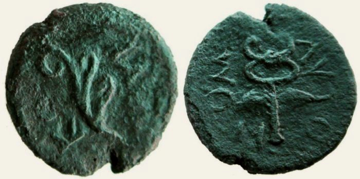 corycus.jpg