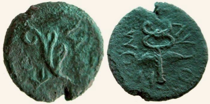 corycus2.jpg