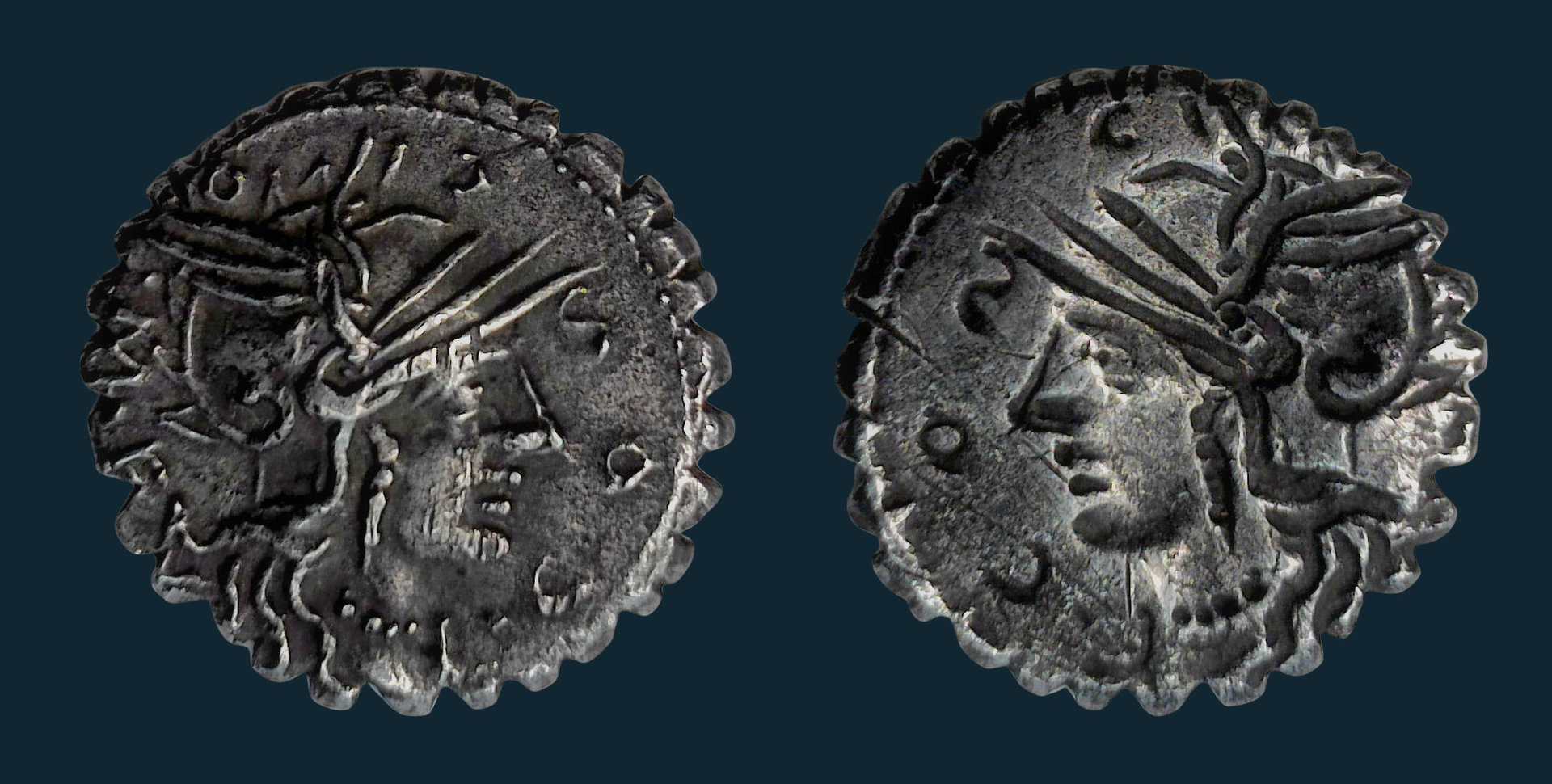 Cosconia brockage Blu.jpg