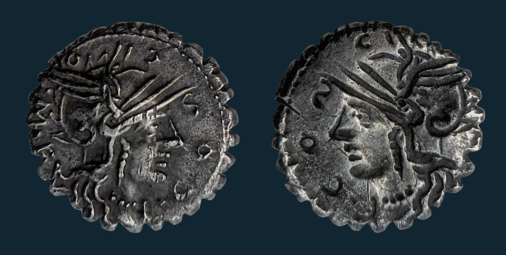 Cosconia brockage Blu.jpg