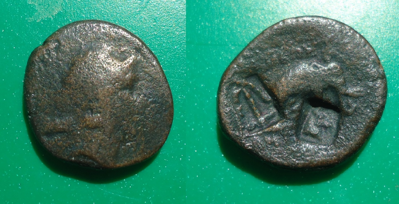 Countermarks - Seleucid elephant Apr 2019 (0).jpg