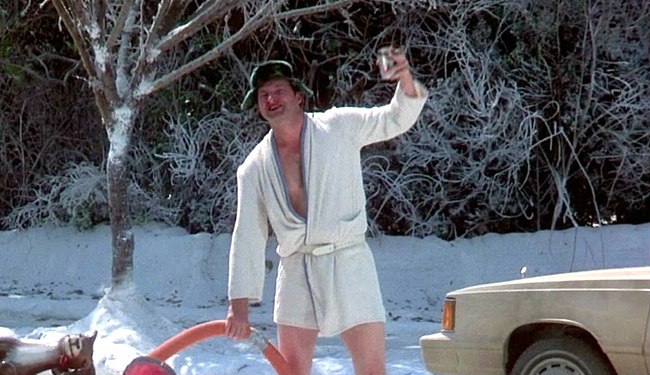 cousin-eddie-vacation.jpg
