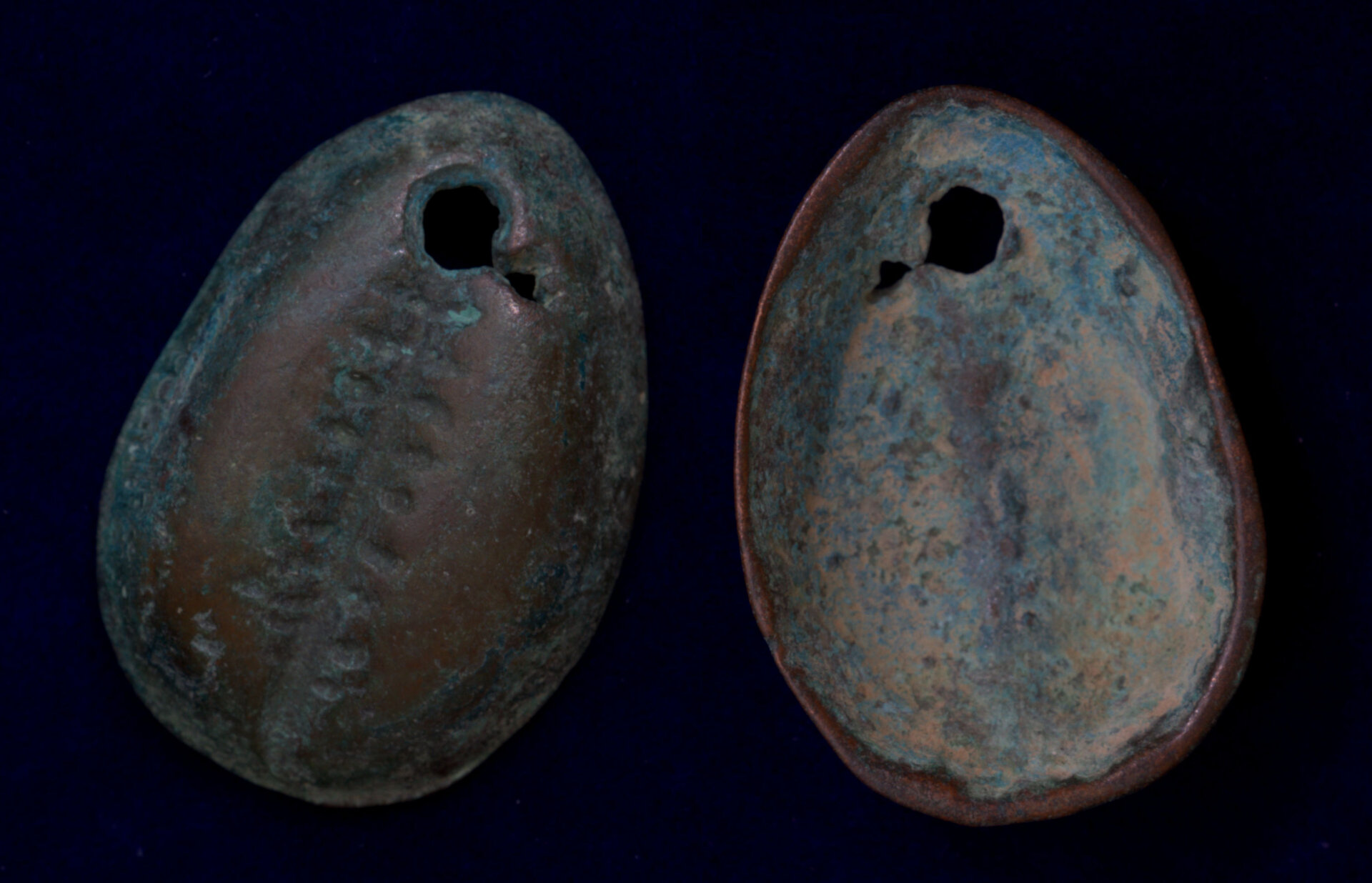 Cowrie Money.jpg