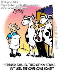 cows 2.jpg
