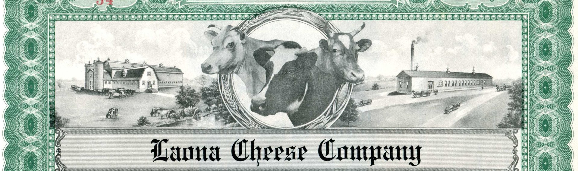 Cows Stock001.jpg