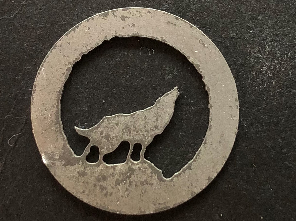 coyote.jpg