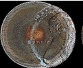 cq5dam.thumbnail.319.319-1.png