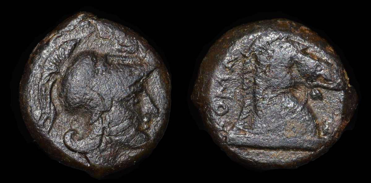Cr17.1d-1200.JPG