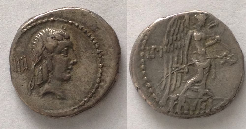 Cr340s2eSR236FrugiQuinarius.jpg