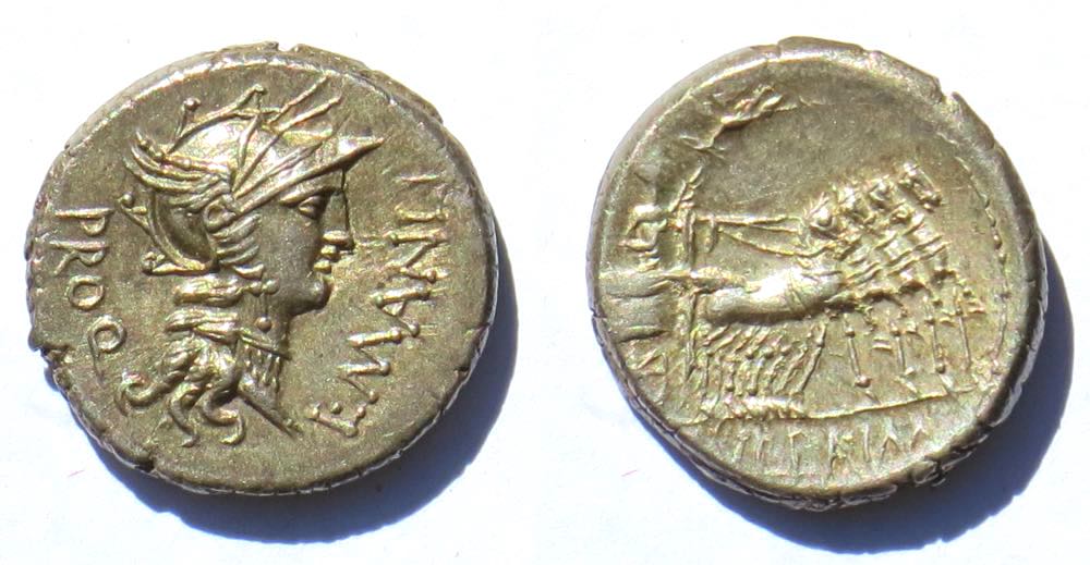 Cr367s5SR286.jpg