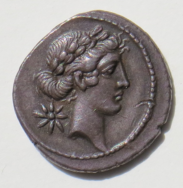 Cr410s8SR359o.JPG
