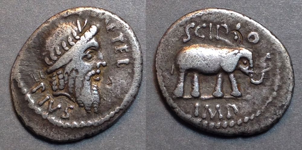 Cr459s1SR1379n1359elephant47BC.jpg