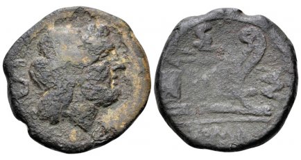 cr64.3MASemis-ROMA82716.jpg