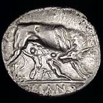 Cr_20-1-Reverse.jpg
