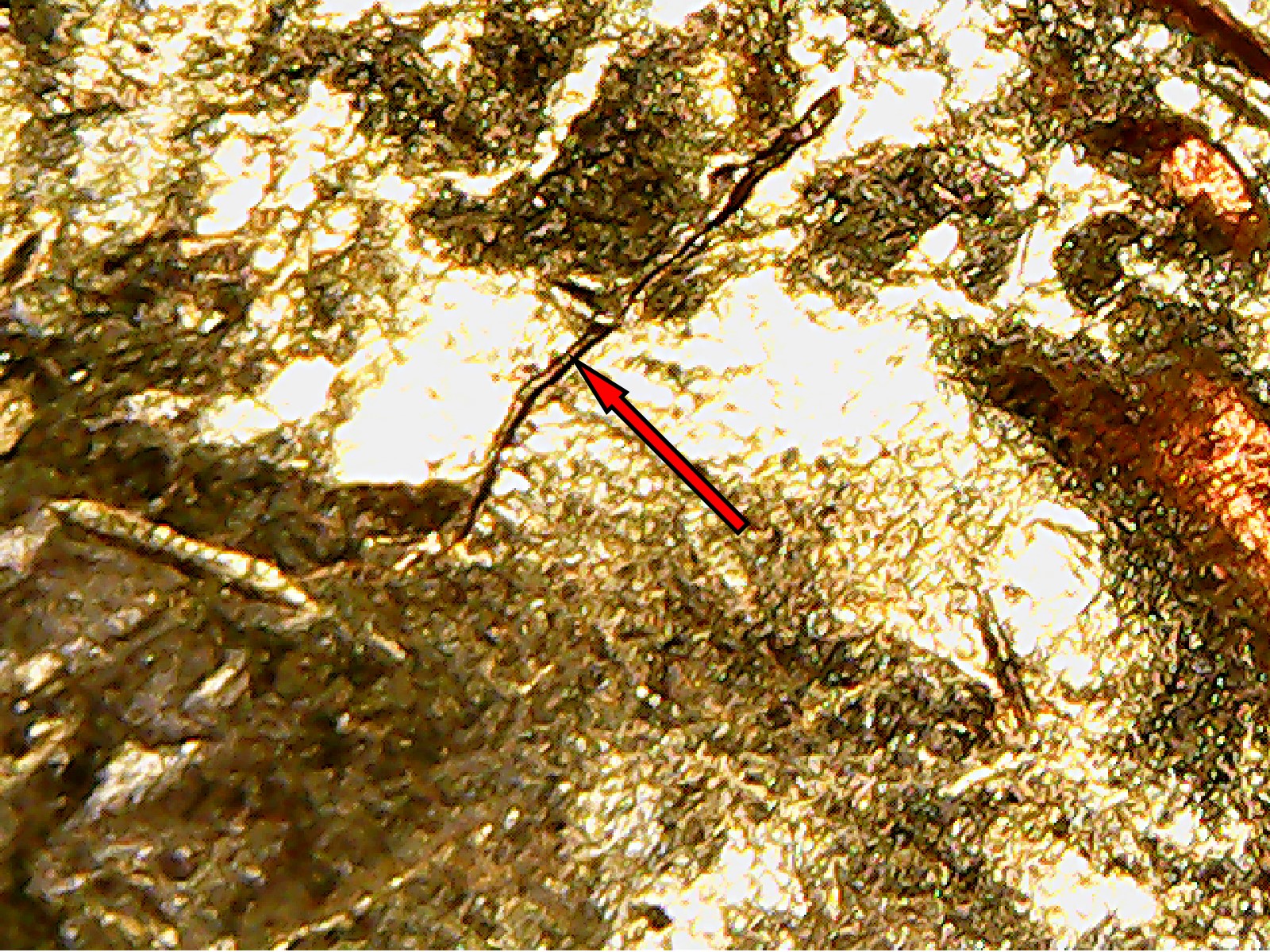 Crack Detail.jpg