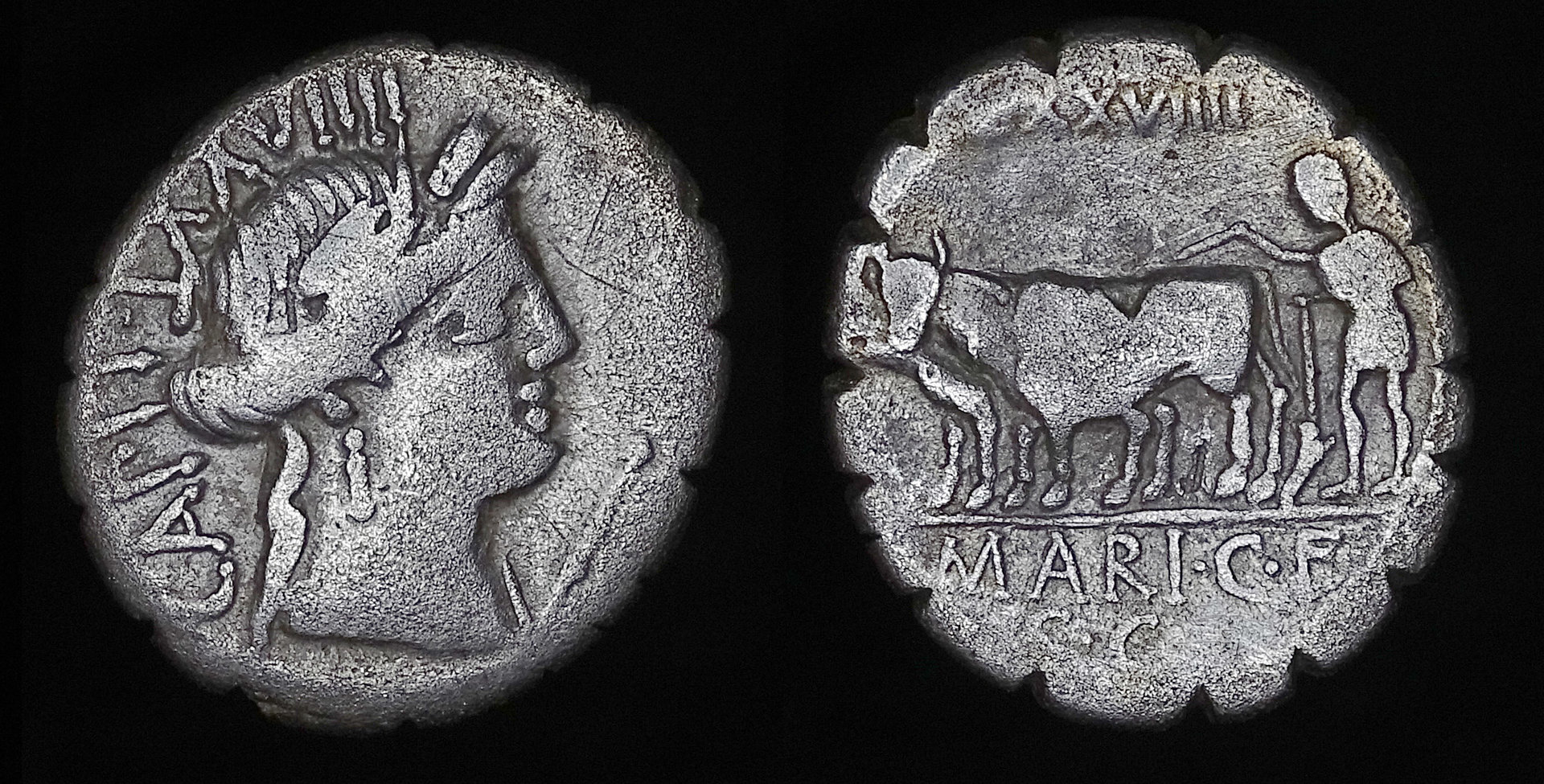 Crawford 378-1 Marius Capito denarius 2-273.jpg