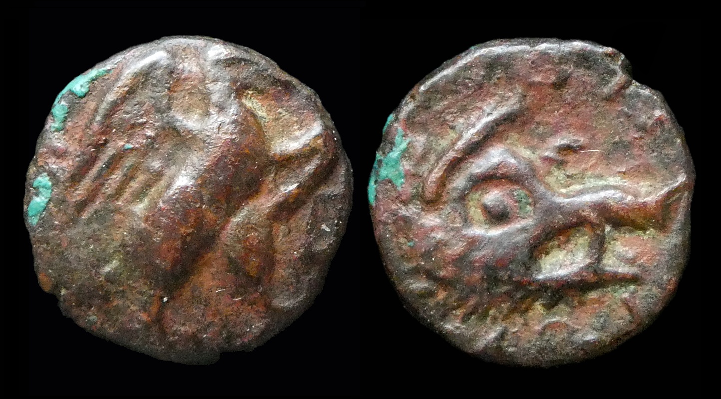 CRETE Lyttos - AE13 Eagle Boar 4042.jpg