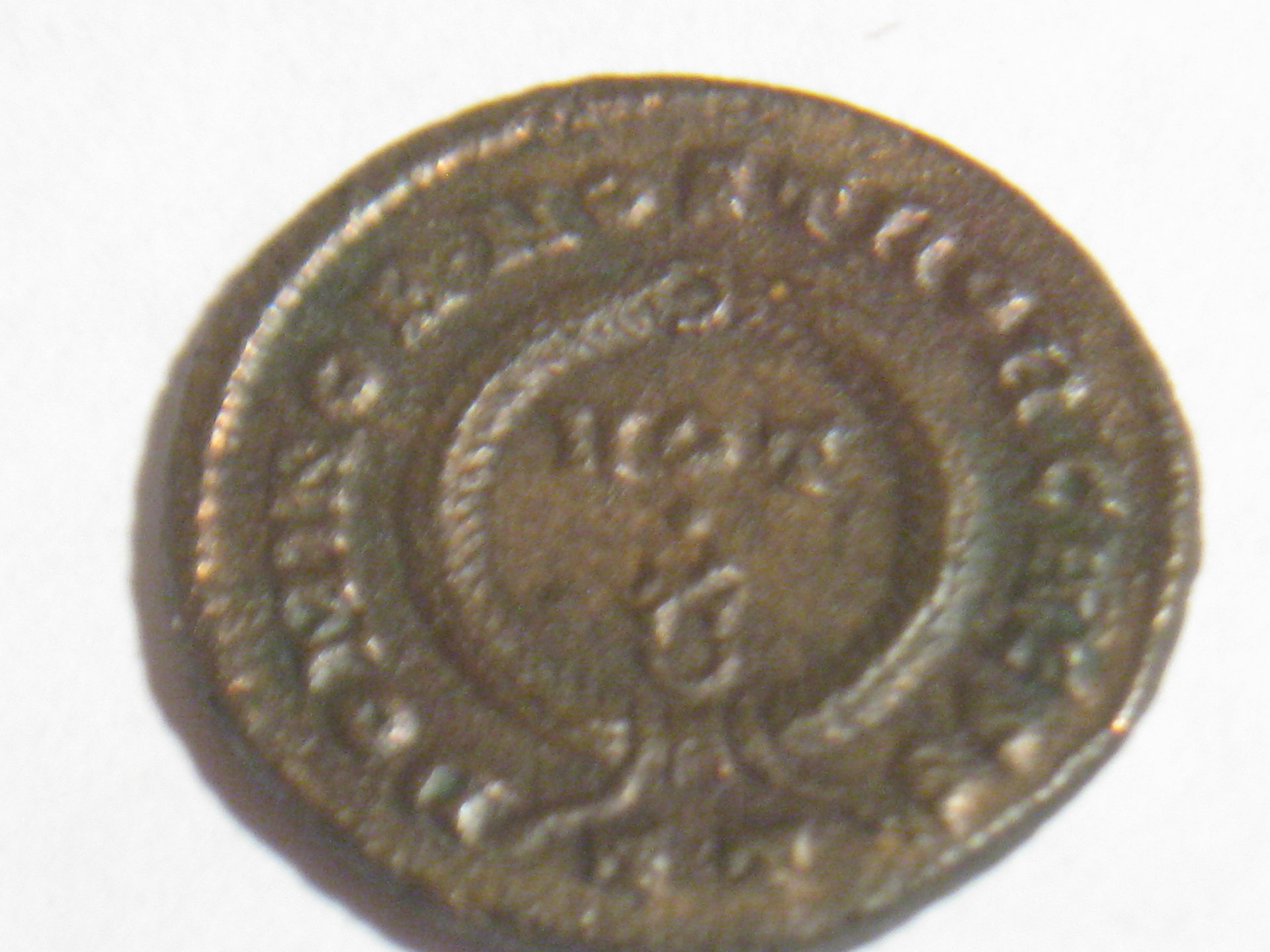 cripus reverse 002.JPG