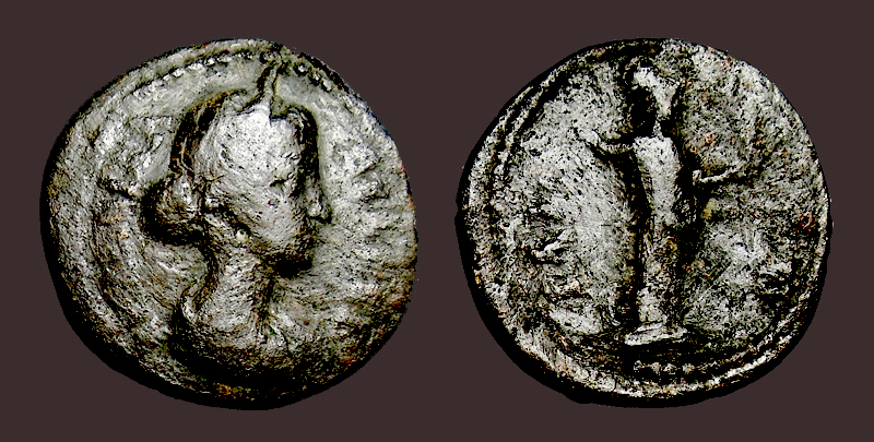 CrispinaIllium.jpg