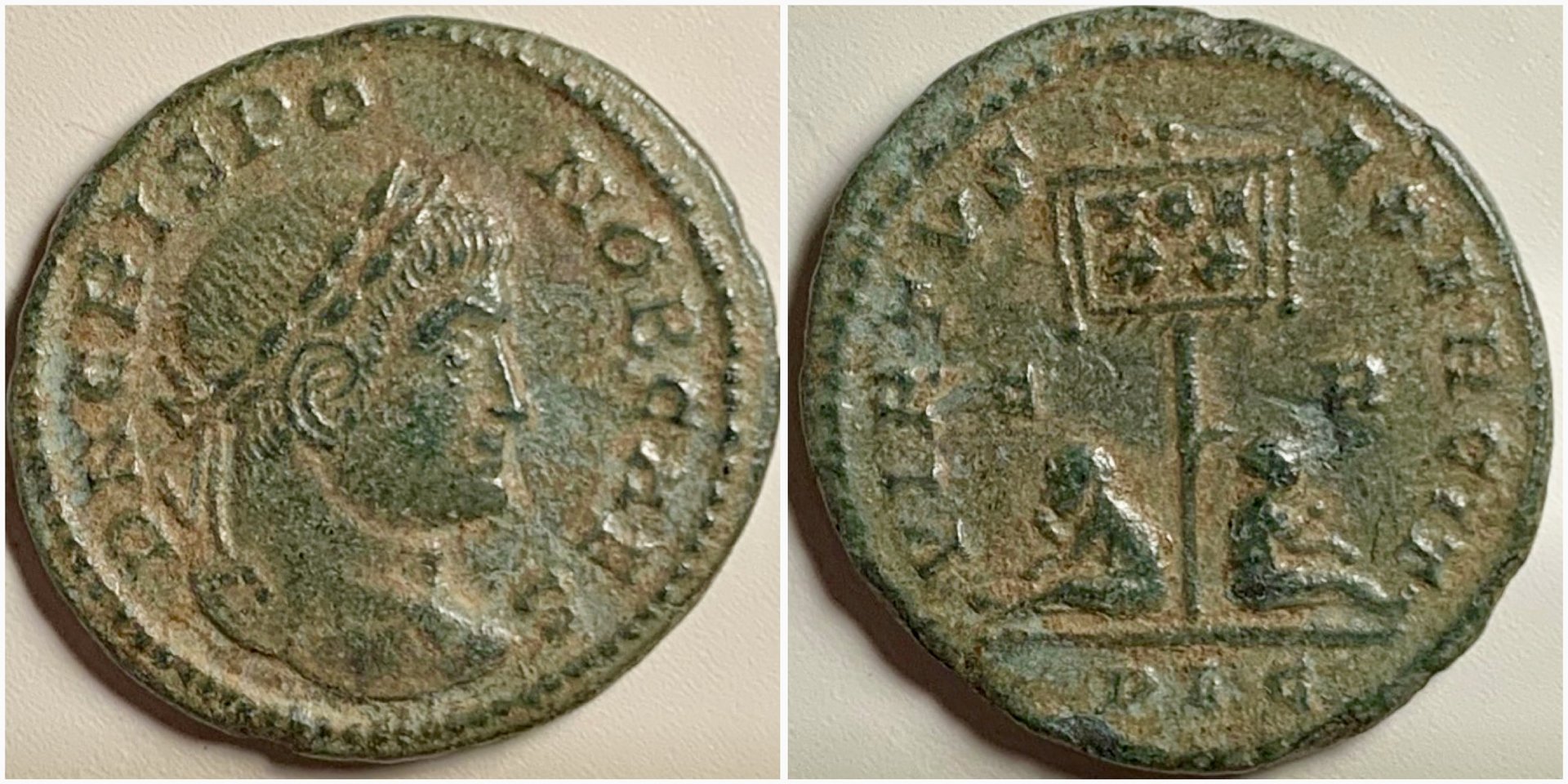 CrispusRIC116.jpg