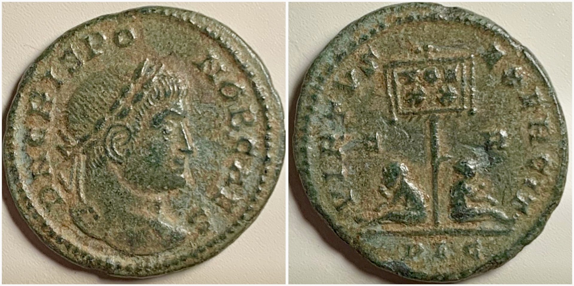 CrispusRIC116.jpg