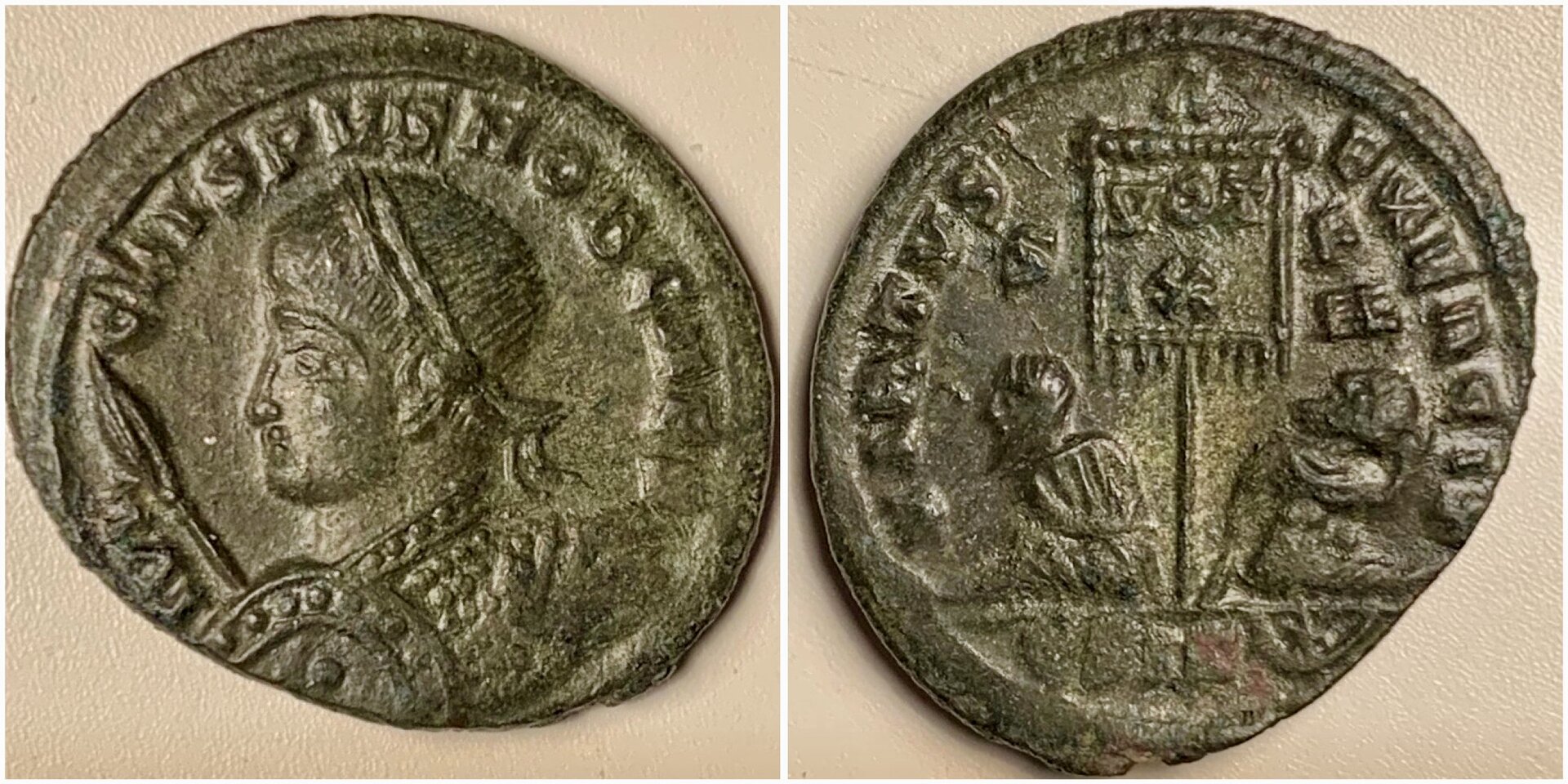 CrispusRIC130v.jpg