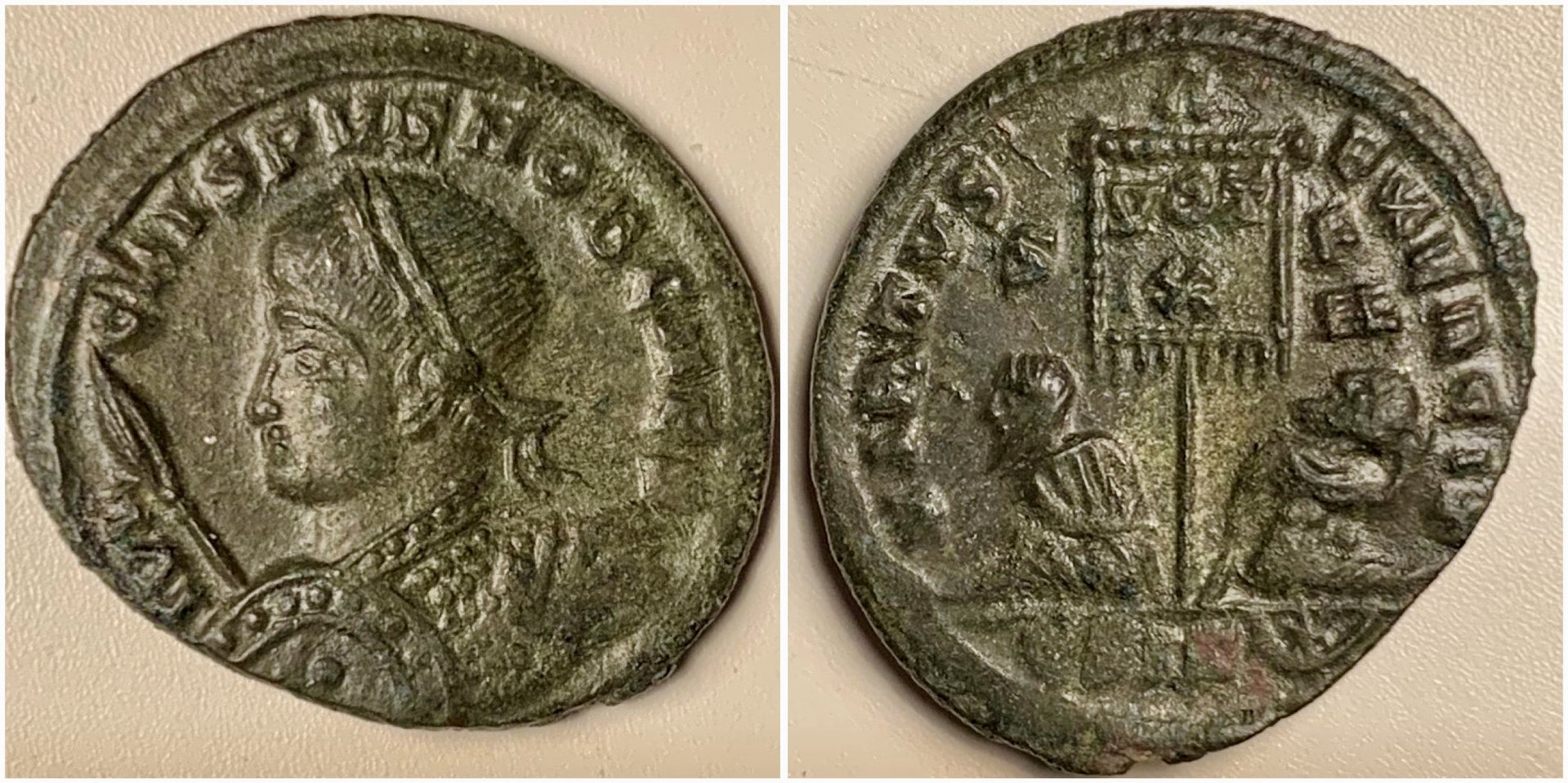 CrispusRIC130v.jpg
