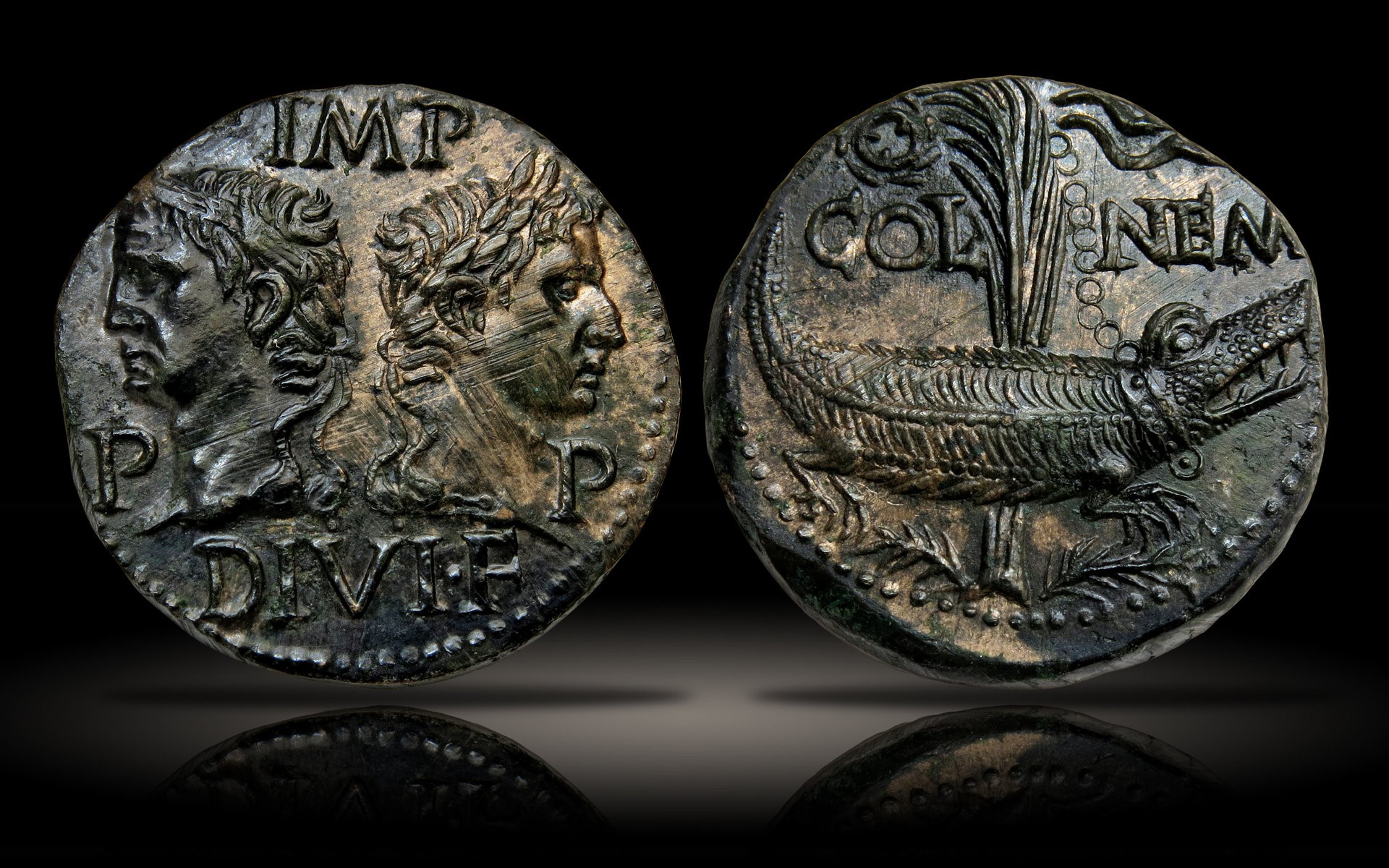 Croc Coin.jpg
