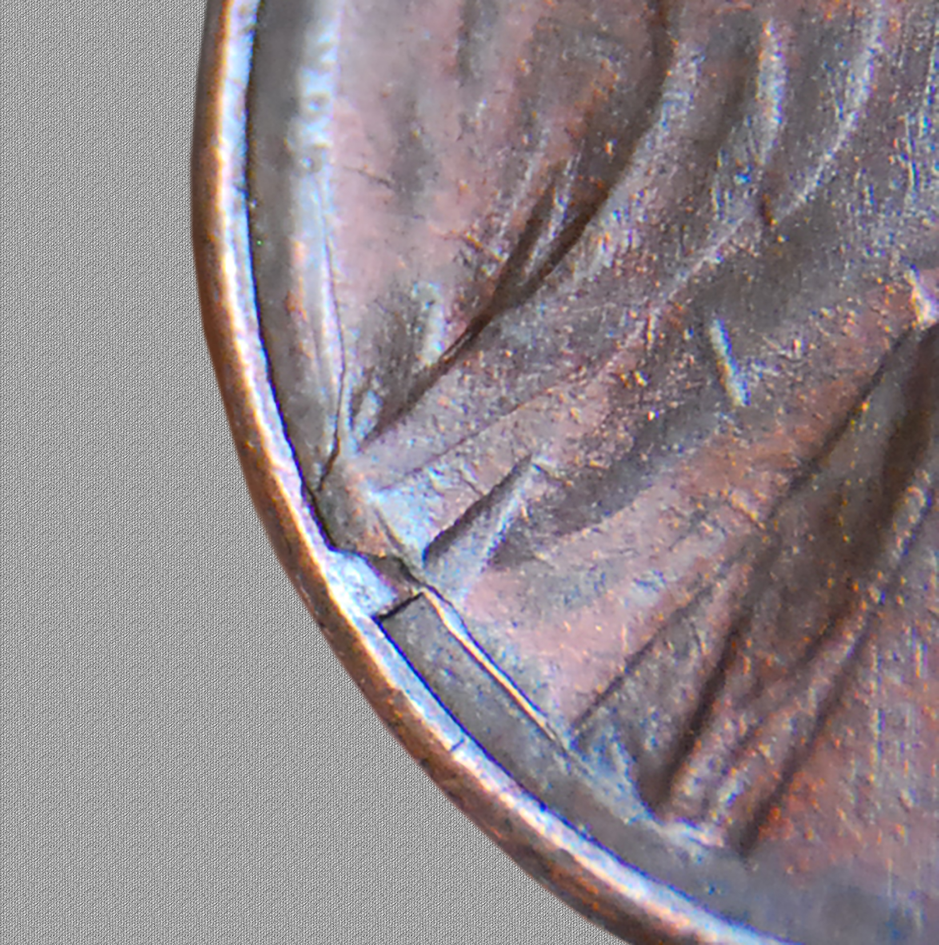 crop1983.jpg