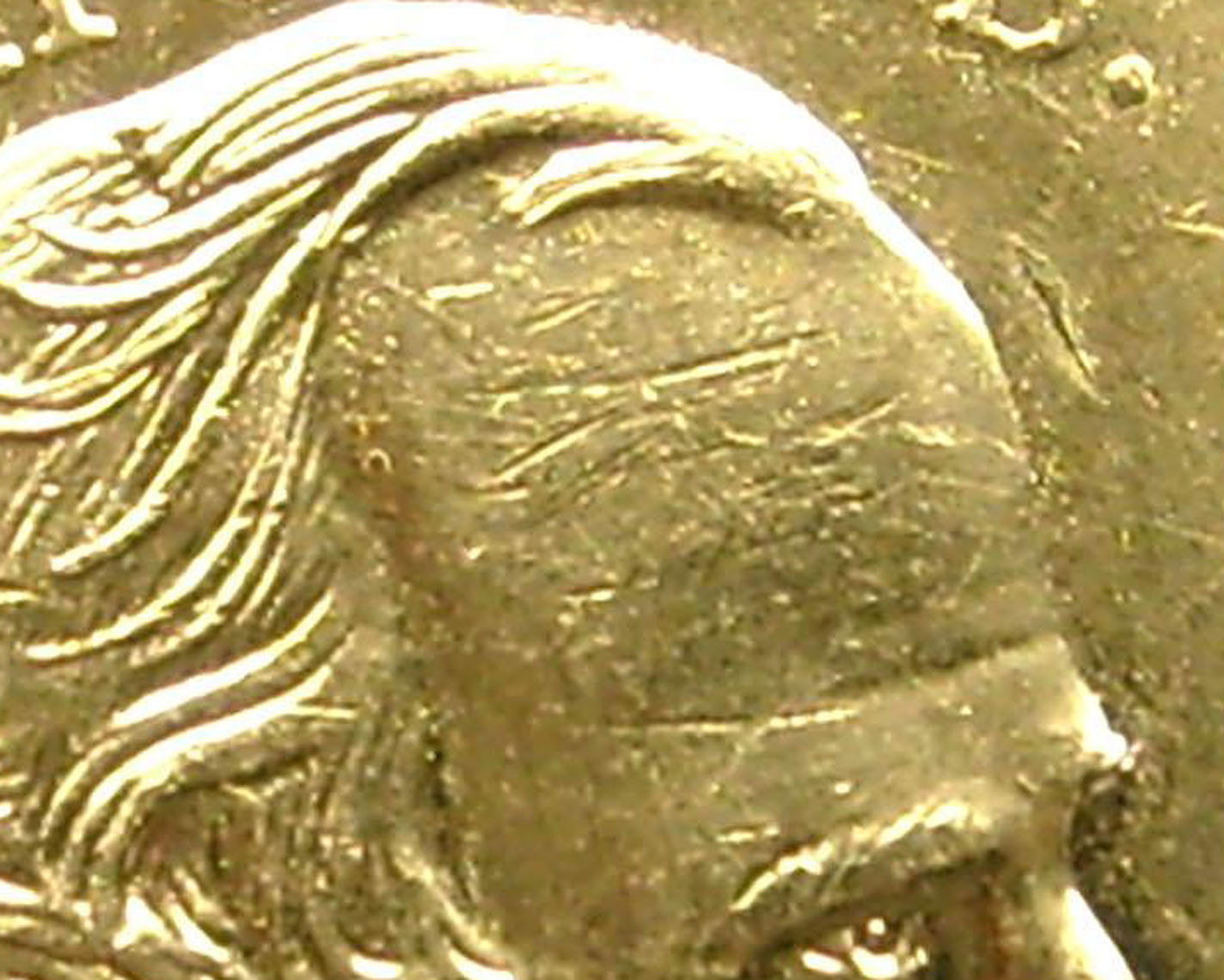 Crop2.jpg