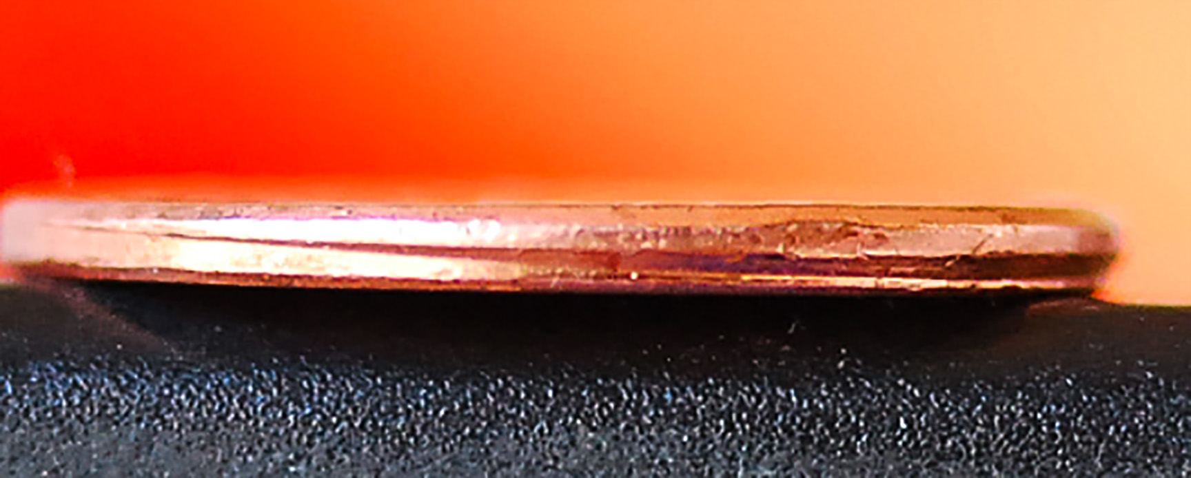 crop4.jpg