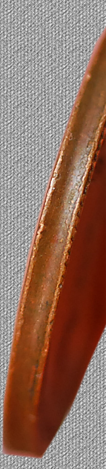 cropc.jpg