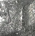 cropped dime2.jpg