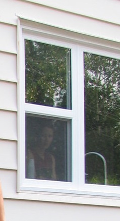 croquet tiger june 2015.jpg