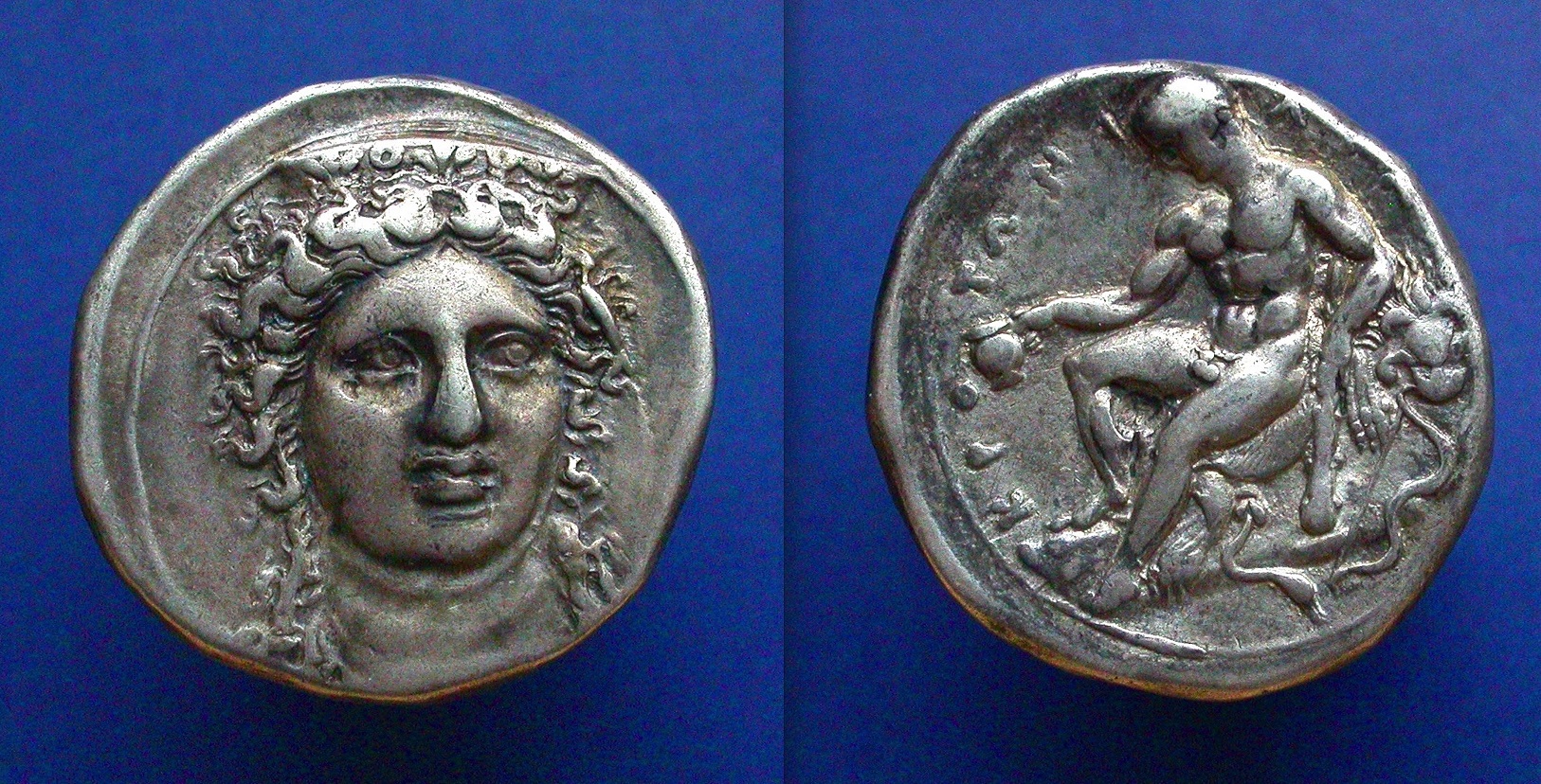 croton6.jpg
