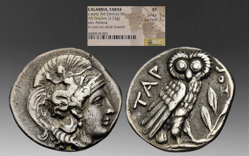 cruqx4Tl60bvmpmPCdQE_Taras-label.png