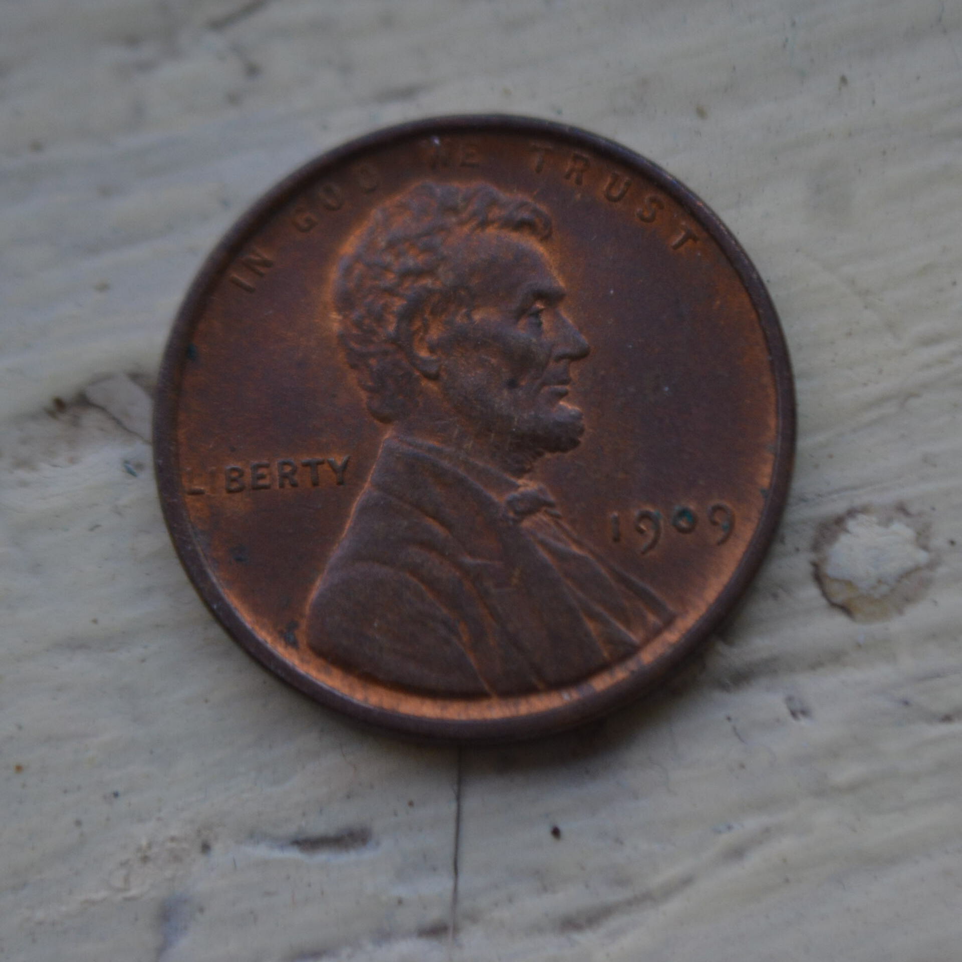 CSC_0372.JPG