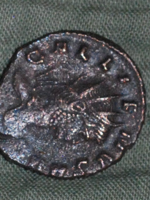 CSC_3393.JPG